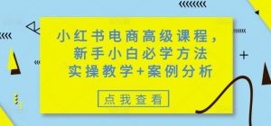 小红书电商高级课程,新手小白必学方法,实操教学+案例分析-俗人圈网创