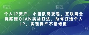 个人IP资产,小团队高变现,互联网全链路赚QIAN实战打法,助你打造个人IP,实现资产不断增值-俗人圈网创