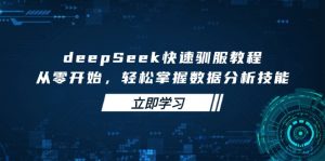 deepSeek快速驯服教程，从零开始，轻松掌握数据分析技能-俗人圈网创