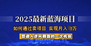 2025蓝海项目，普通人如何通过卖项目，实现月入过W，全过程【揭秘】-俗人圈网创