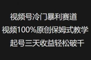 视频号冷门暴利赛道视频100%原创保姆式教学起号三天收益轻松破千-俗人圈网创