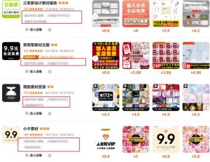 0成本虚拟项目实战手把手教你落地，单店月入5k-俗人圈网创