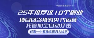 25年推荐这10个副业项目包含褂鸡类、代运营托管类、全自动打金类【揭秘】-俗人圈网创