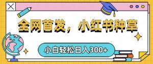 小红书种草,手机项目,日入3张,复制黏贴即可,可矩阵操作,动手不动脑【揭秘】-俗人圈网创