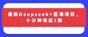 最新Deepseek+蓝海项目，十分钟收益2张-俗人圈网创