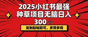 2025小红书最强种草项目，无脑日入300+，复制粘帖即可，多劳多得-俗人圈网创