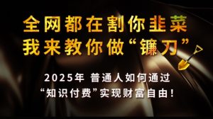 全网都在割你韭菜,我来教你做镰刀,2025普通人如何通过知识付费,实现财F自由【揭秘】-俗人圈网创
