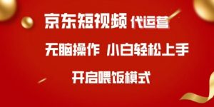 京东短视频代运营，全程喂饭，小白轻松上手【揭秘】-俗人圈网创