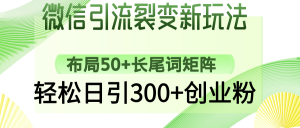 微信引流裂变新玩法:布局50+长尾词矩阵,轻松日引300+创业粉-俗人圈网创