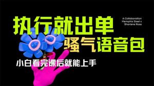 爆火全网的开车导航骚气语音包,只要执行就出单,小白看完课程就能实操...-俗人圈网创
