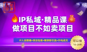 2025年“IP私域·密训精品课”,日赚3000+小白避坑年赚百万,暴力引流...-俗人圈网创