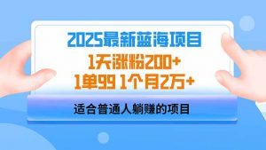 2025蓝海项目 1天涨粉200+ 1单99 1个月2万+-俗人圈网创