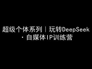 超级个体系列,玩转DeepSeek·自媒体IP训练营,deepseek教程-俗人圈网创