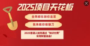 2025项目天花板普通人如何通过知识付费,实现财F自由【揭秘】-俗人圈网创