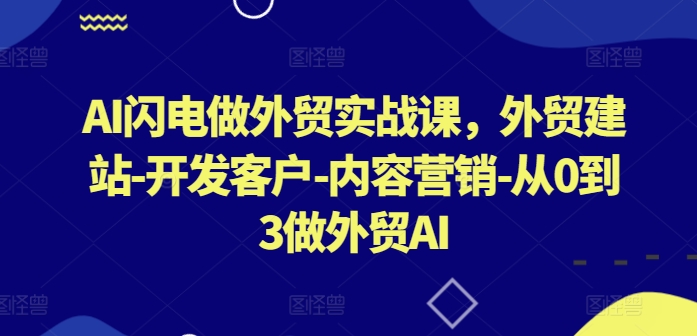 AI闪电做外贸实战课,外贸建站-开发客户-内容营销-从0到3做外贸AI(更新)-俗人圈网创