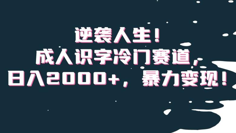 逆袭人生！成人识字冷门赛道，日入2000+，暴力变现！【揭秘】-俗人圈网创
