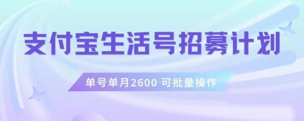 支付宝生活号作者招募计划，单号单月2600，可批量去做，工作室一人一个月轻松1w+【揭秘】-俗人圈网创