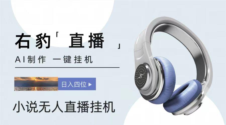 右豹小说无人直播挂机吸金项目,简单易行收益稳定, 月入1000+-俗人圈网创