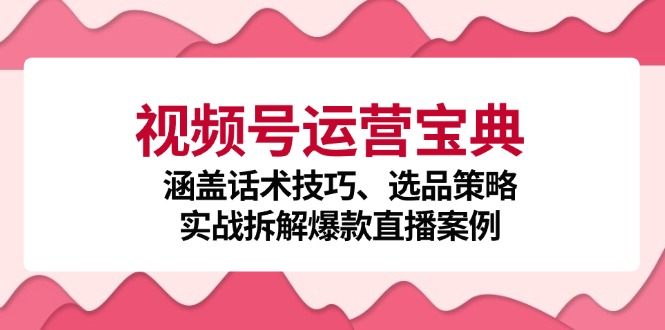 视频号运营宝典:涵盖话术技巧、选品策略、实战拆解爆款直播案例-俗人圈网创