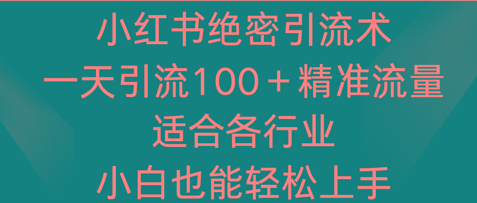 小红书绝密引流术，一天引流100＋精准流量，适合各个行业，小白也能轻松上手-俗人圈网创