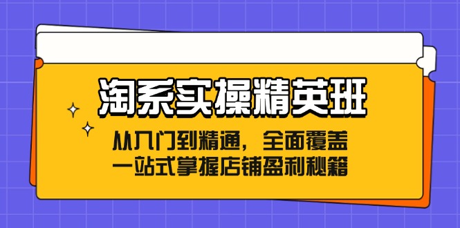 淘系实操精英班：从入门到精通，全面覆盖，一站式掌握店铺盈利秘籍-俗人圈网创