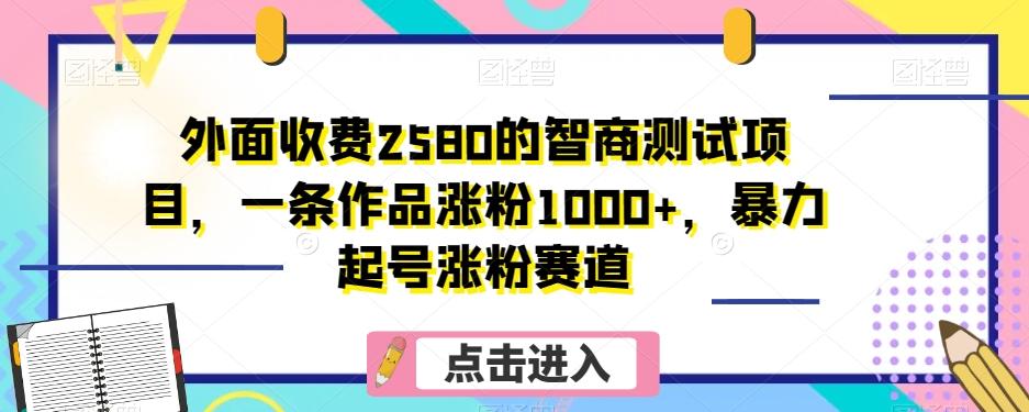 外面收费2580的智商测试项目，一条作品涨粉1000+，暴力起号涨粉赛道【揭秘】-俗人圈网创