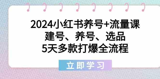 2024小红书养号+流量课:建号、养号、选品,5天多款打爆全流程-俗人圈网创