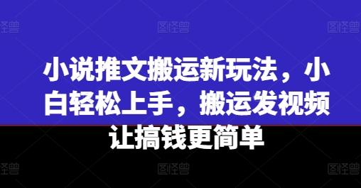 小说推文搬运新玩法，小白轻松上手，搬运发视频让搞钱更简单-俗人圈网创