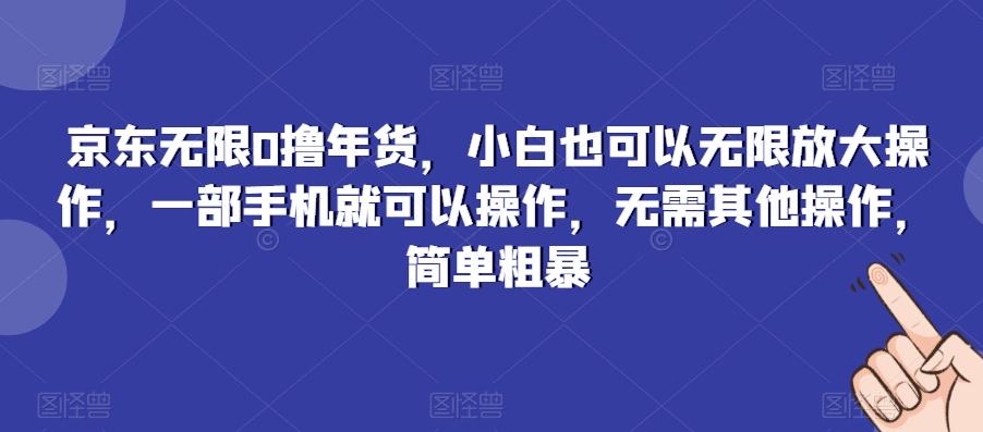 京东无限0撸年货，小白也可以无限放大操作，一部手机就可以操作，无需其他操作，简单粗暴-俗人圈网创