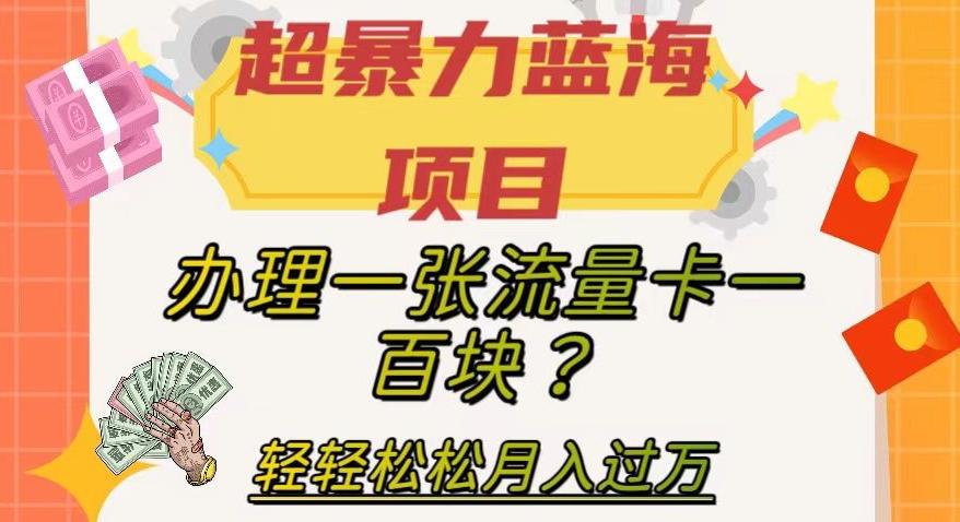 超暴力蓝海项目，办理一张流量卡一百块？轻轻松松月入过万，保姆级教程【揭秘】-俗人圈网创