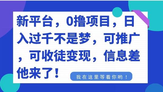 不要再花冤枉钱了，0撸项目，每天坚持，稳定1000+-俗人圈网创