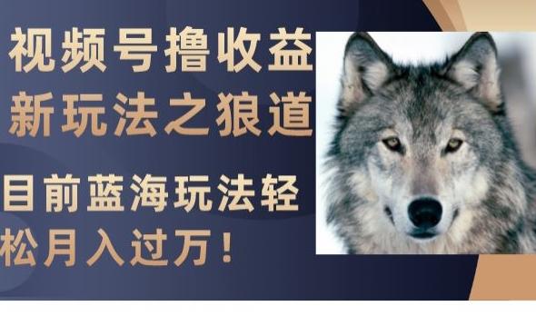 视频号撸收益新玩法之狼道，目前蓝海玩法，轻松月入过万【揭秘】-俗人圈网创