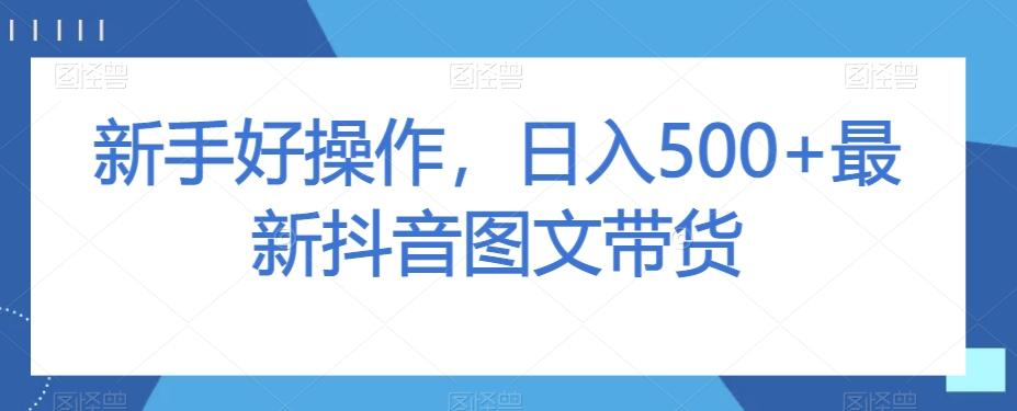 新手好操作,日入500+最新抖音图文带货【揭秘】-俗人圈网创