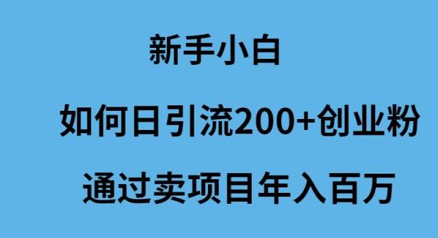 (9668期)新手小白如何日引流200+创业粉通过卖项目年入百万-俗人圈网创