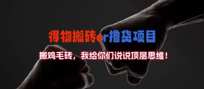 得物搬砖撸货项目?掰下数据，我给你们说说顶层思维【揭秘】-俗人圈网创