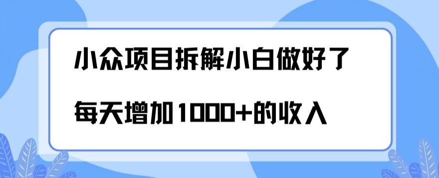 小众项目拆解,小白做好了每天可增加1000多的收入-俗人圈网创