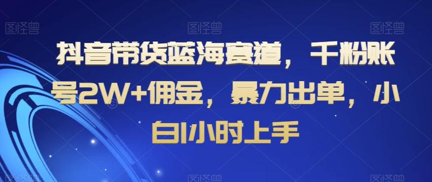 抖音带货蓝海赛道，千粉账号2W+佣金，暴力出单，小白1小时上手【揭秘】-俗人圈网创