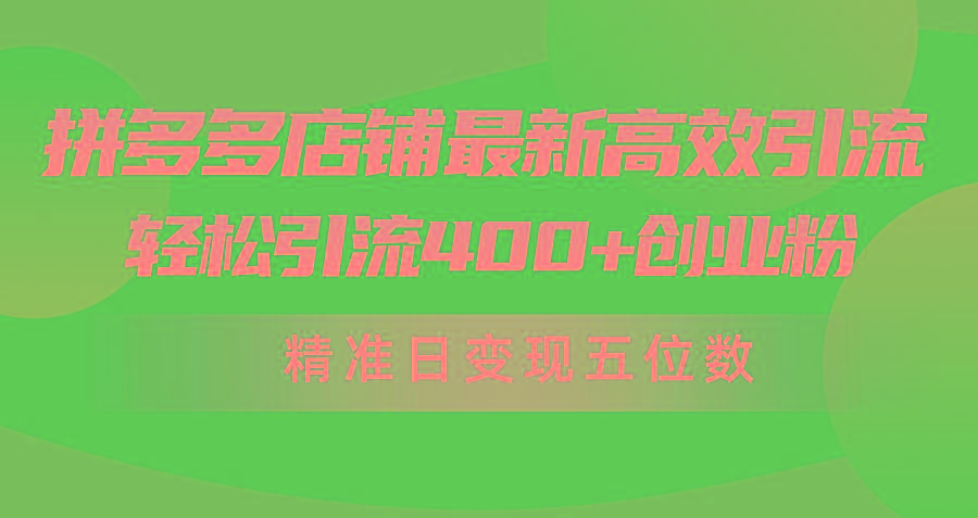 (10041期)拼多多店铺最新高效引流术，轻松引流400+创业粉，精准日变现五位数！-俗人圈网创