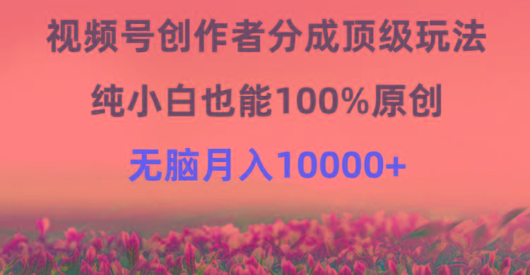 (9608期)视频号创作者分成顶级玩法，纯小白也能100%原创，无脑月入10000+-俗人圈网创