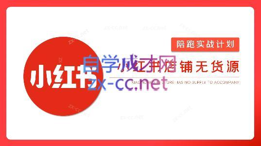 安琪·小红书店铺无货源-俗人圈网创