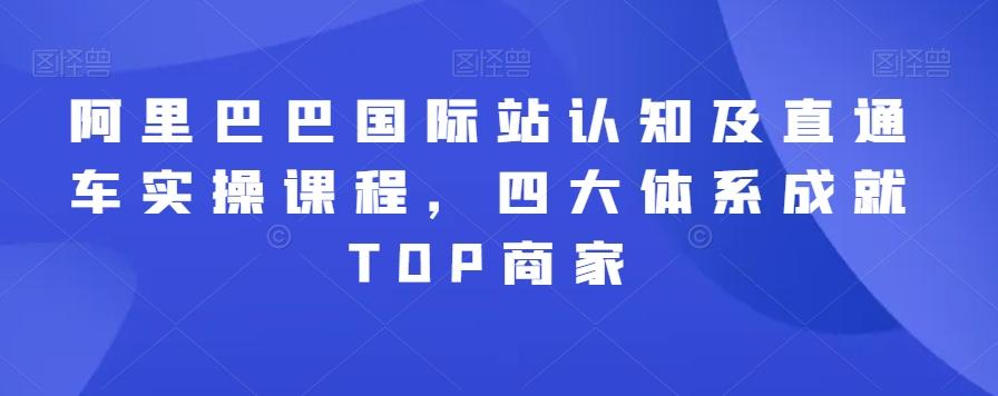 阿里巴巴国际站认知及直通车实操课程,四大体系成就TOP商家-俗人圈网创