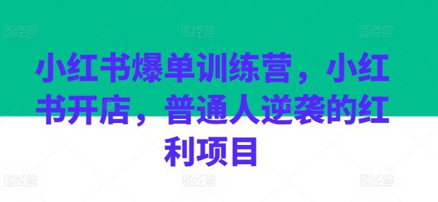 小红书爆单训练营，小红书开店，普通人逆袭的红利项目-俗人圈网创