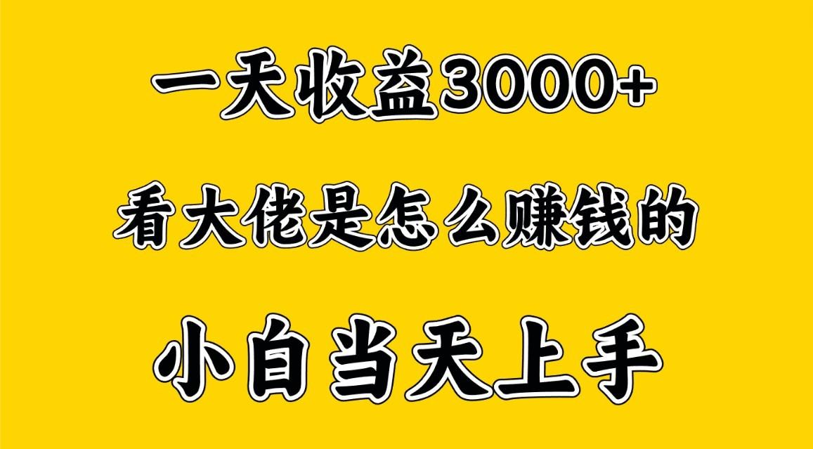 一天赚3000多，大佬是这样赚到钱的，小白当天上手，穷人翻身项目-俗人圈网创