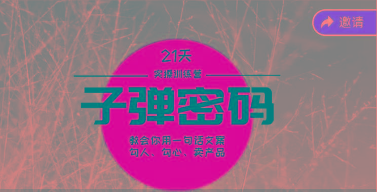 《子弹密码训练营》-用一句话文案勾人勾心卖产品,21天学到顶尖文案大师策略和技巧-俗人圈网创