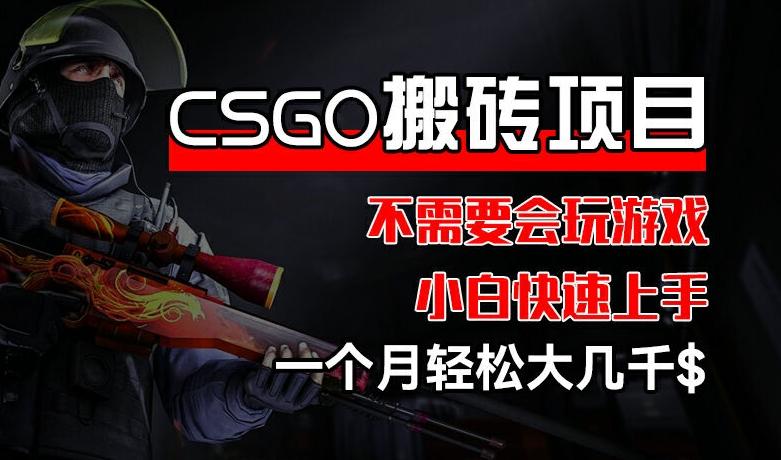 CSGO 装备搬砖项目，操作简单，不需要会玩游戏，小白也能快速上手，一个月轻松大几千【揭秘】-俗人圈网创