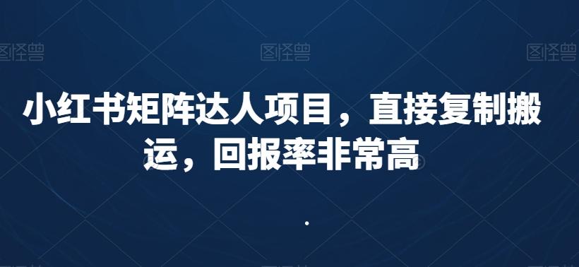 小红书矩阵达人项目，直接复制搬运，回报率非常高-俗人圈网创