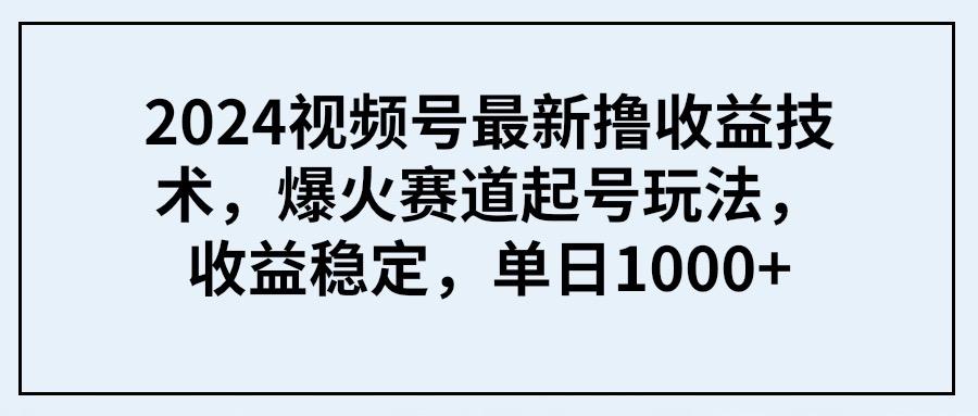 (9651期) 2024视频号最新撸收益技术，爆火赛道起号玩法，收益稳定，单日1000+-俗人圈网创