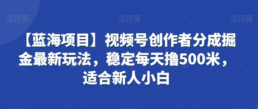 【蓝海项目】视频号创作者分成掘金最新玩法，稳定每天撸500米，适合新人小白【揭秘】-俗人圈网创