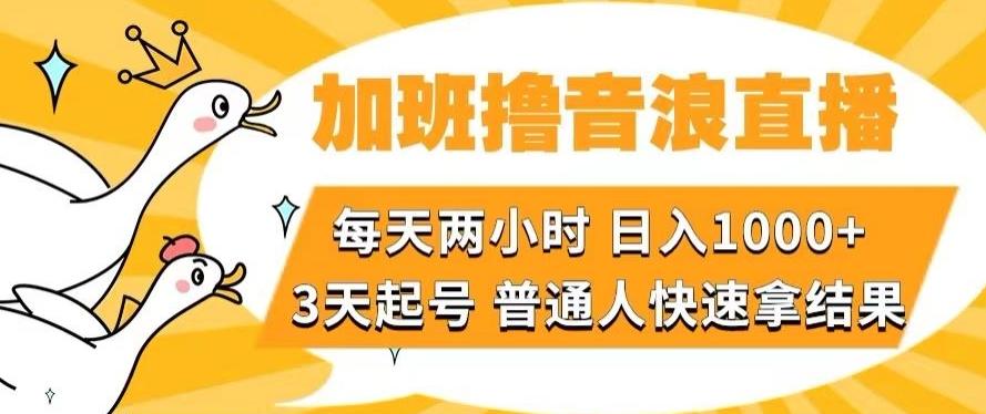加班撸音浪直播,每天两小时,日入1000+,直播话术才3句,3天起号,普通人快速拿结果【揭秘】-俗人圈网创
