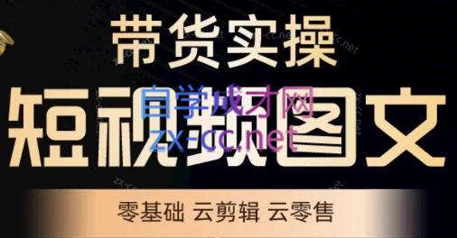 鑫哥·2024零基础短视频带货实操营-俗人圈网创